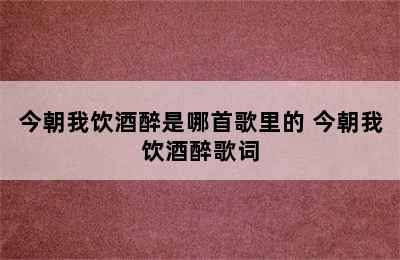 今朝我饮酒醉是哪首歌里的 今朝我饮酒醉歌词